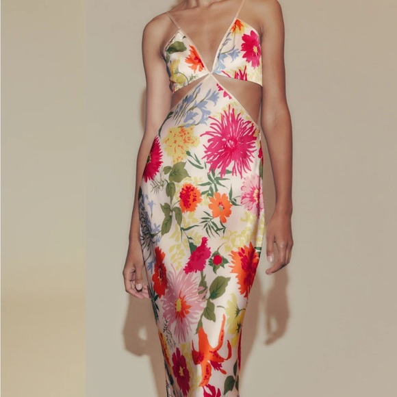 Reformation Dresses & Skirts - Reformation Poppies Silk Dress in Fabrizia